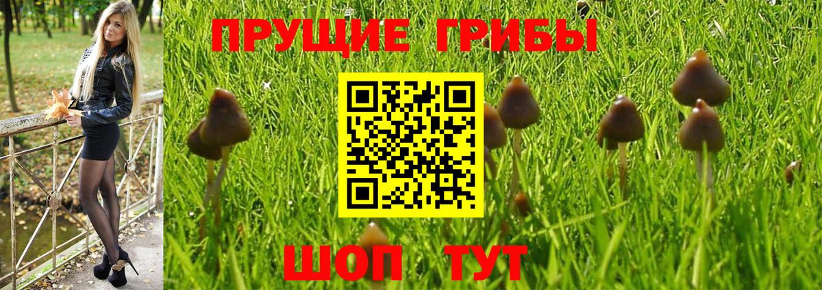 Псилоцибиновые грибы Magic Shrooms Новоалександровск